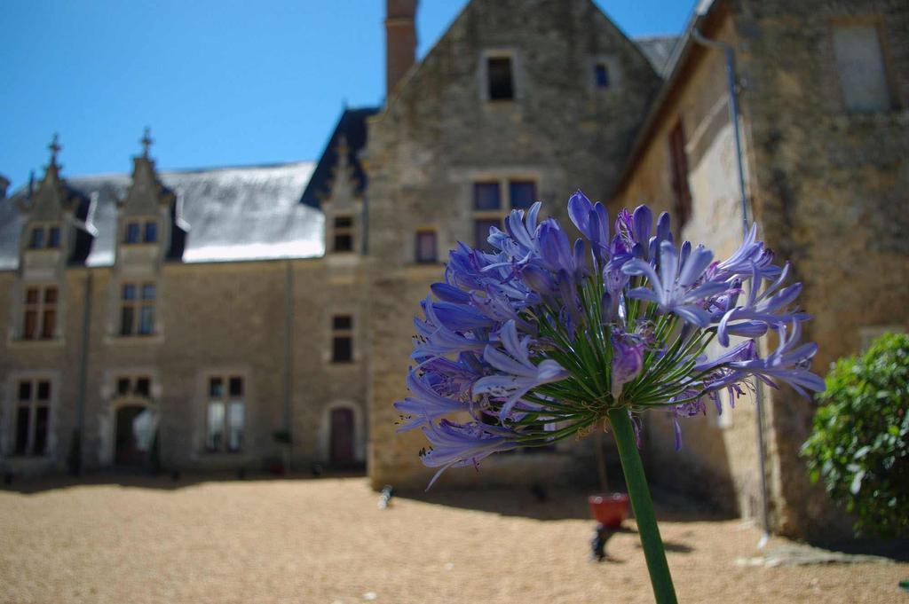 Chateau De Cheronne Bed and Breakfast Tuffé Esterno foto